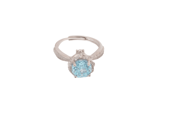 Aquamarine St. Mary's3172855 - 图片 5