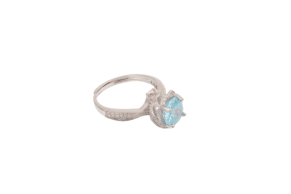 Aquamarine St. Mary's3172855 - 图片 4
